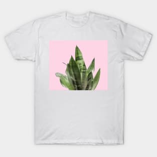 Pastel snake plant T-Shirt